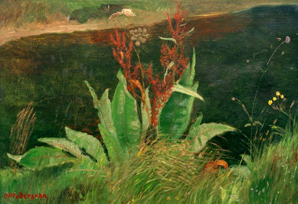 Wasserampfer von Otto Modersohn