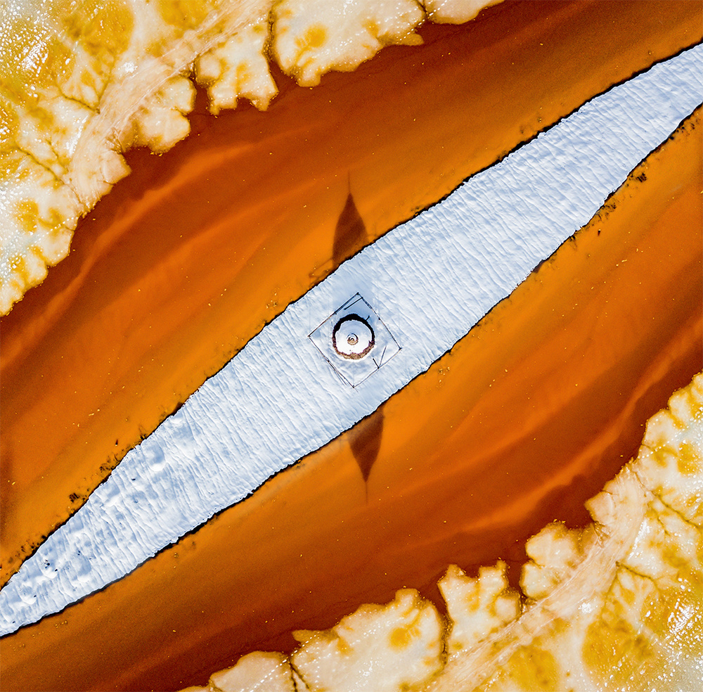 Snake eyes von Ovi D. Pop