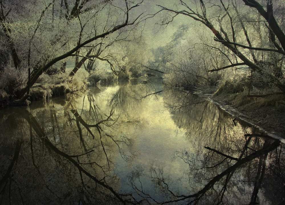 Frosty silence von P r i