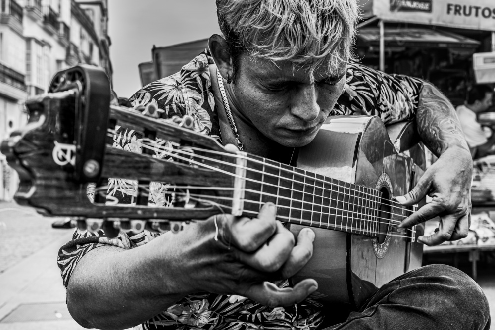 melody von PacodlaCorte