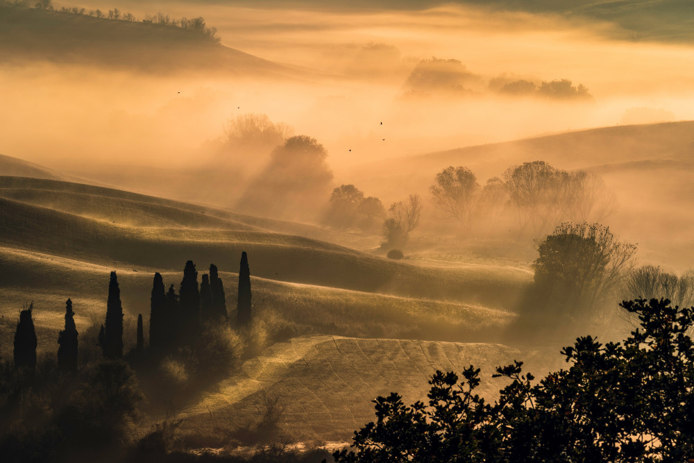 Poetry von Pamela Doretti