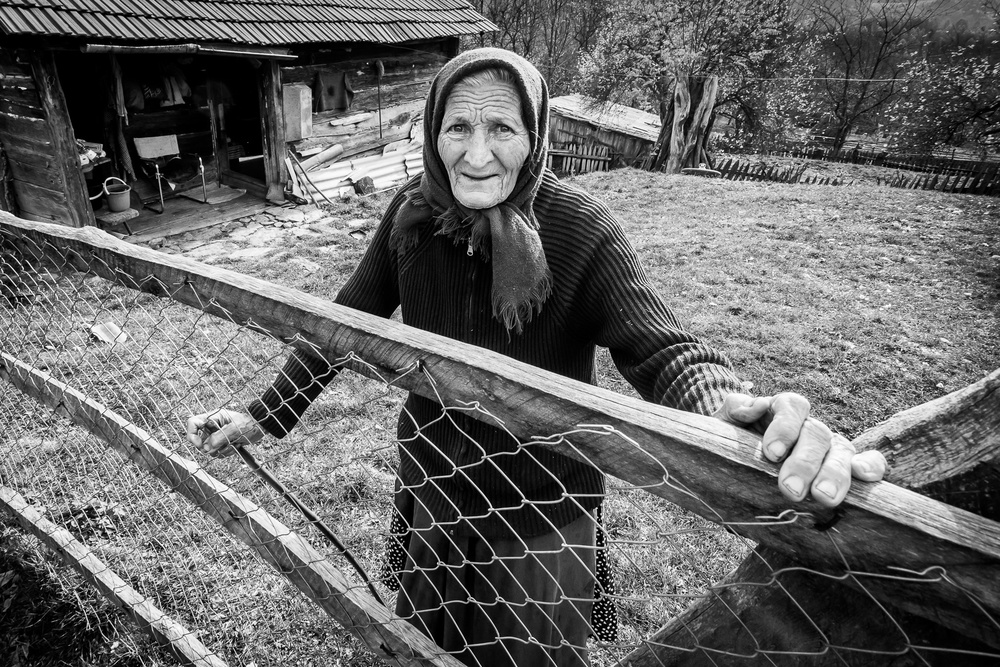 The Grandmother von Panfil Pirvulescu