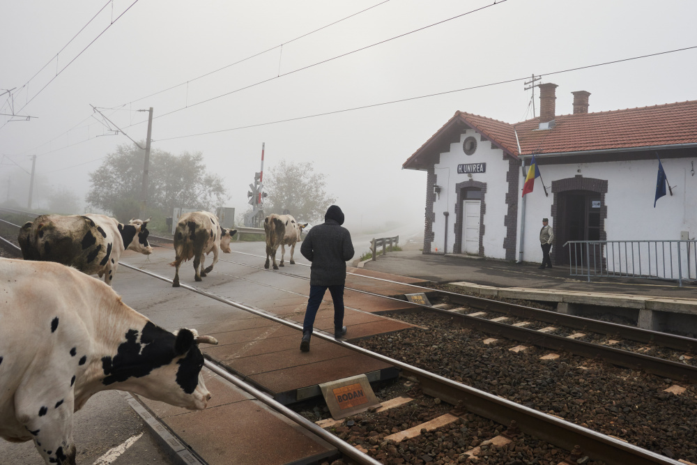 Morning at the Station von Panfil Pirvulescu