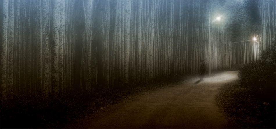 Countryside evening mood: Going home von Panidhar Revanur