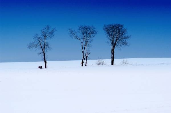 Winterlandschaft 1 von 