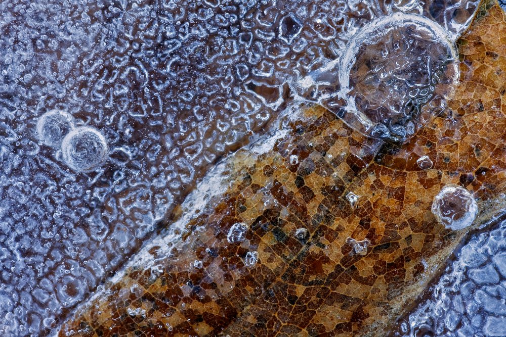 Mosaic in the ice von Paolo Bolla