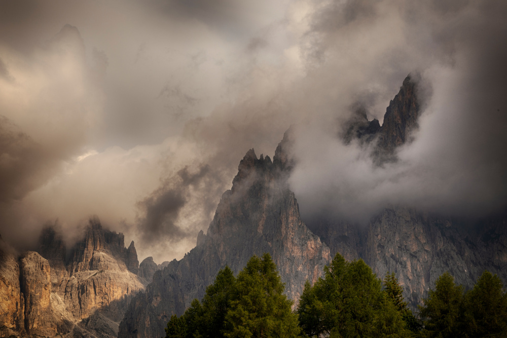 Rosengarten von Paolo Bolla