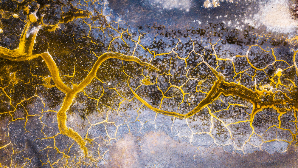 Salts colors von Paolo Crocetta