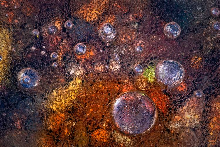 Winter Over Autumn von Paolo Giudici