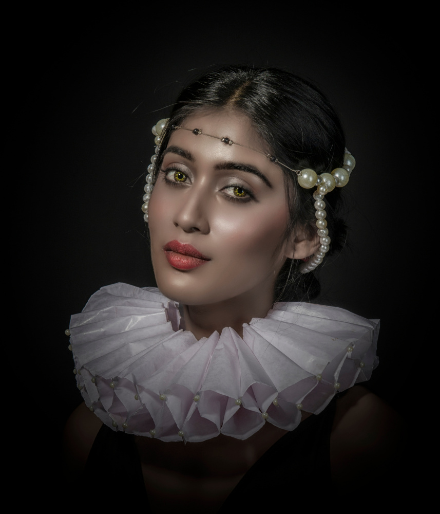 AN ARISTOCRATLADY von PARTHA BHATTACHARYYA