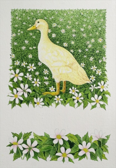 Just Looking von Pat  Scott