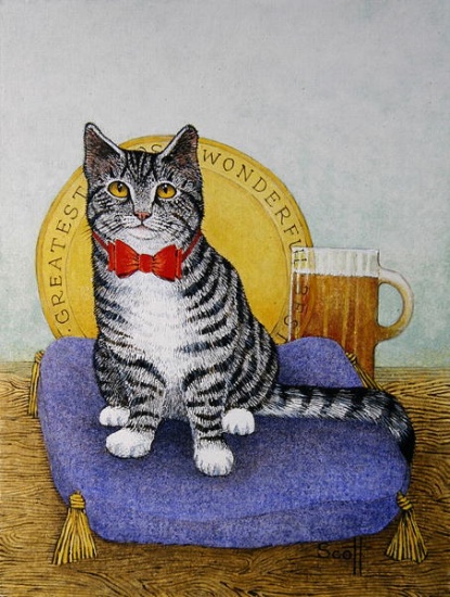 Mr Wonderful von Pat  Scott