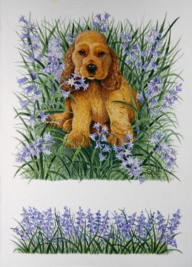 Resting von Pat  Scott