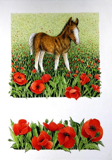 Poppies von Pat  Scott