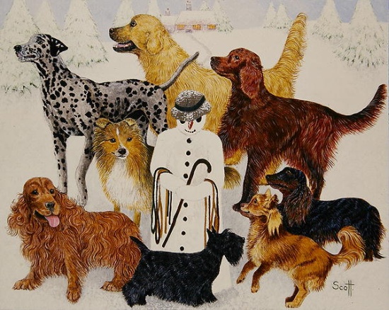 The Walk von Pat  Scott