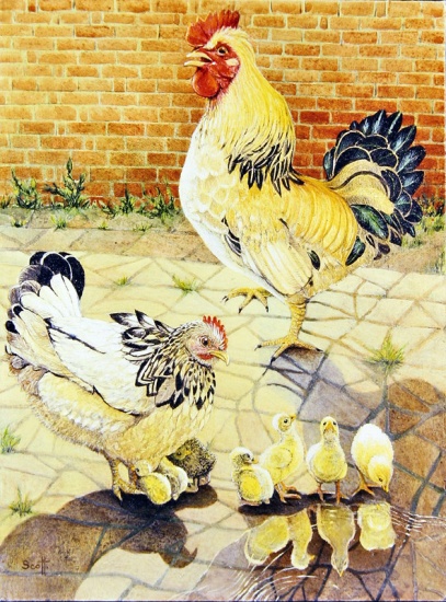 Free Ranging von Pat  Scott