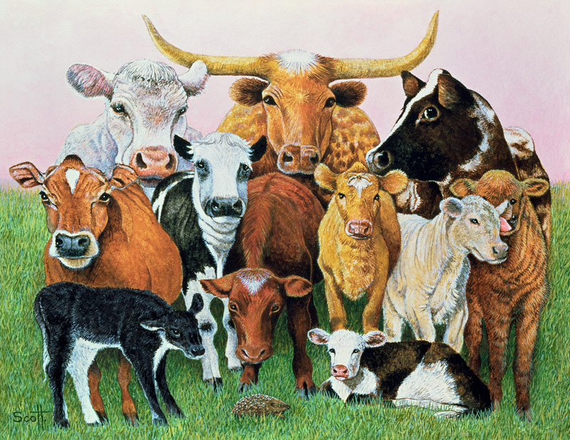 A Surprising Stranger von Pat  Scott