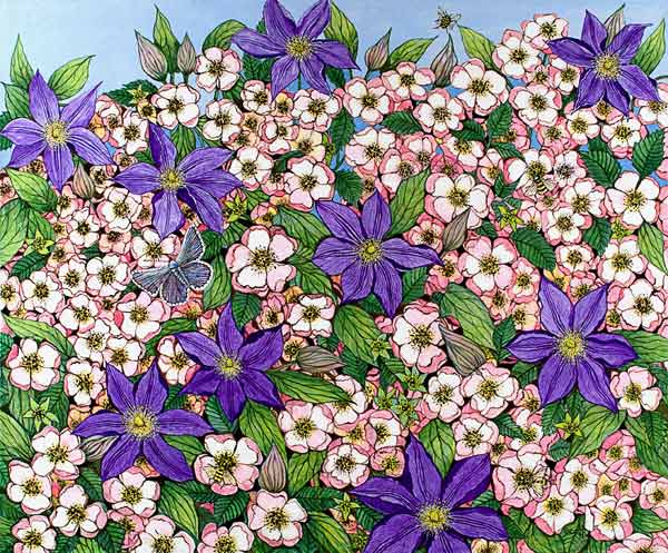 A Purple Patch von Pat  Scott