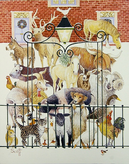 Cared For von Pat  Scott