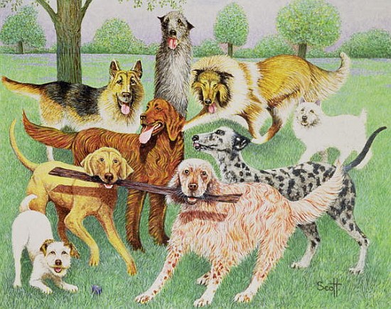 Catch and Carry  von Pat  Scott