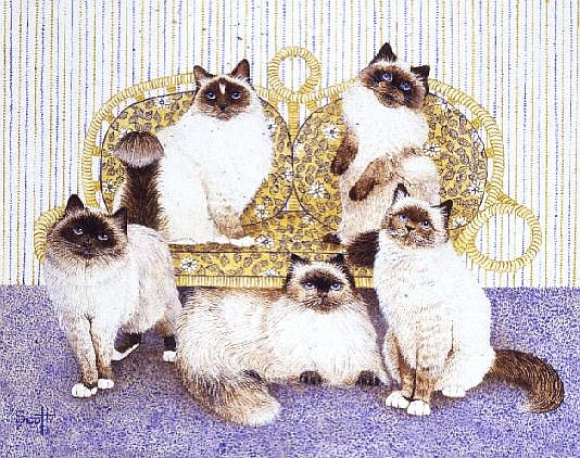 Chocolate creams  von Pat  Scott