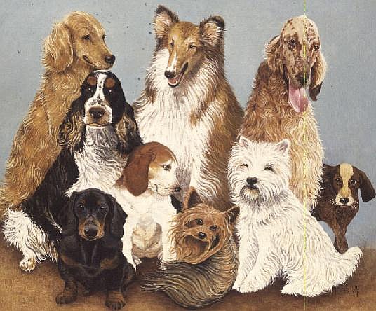 Dogs'' Dinner (oil on canvas)  von Pat  Scott