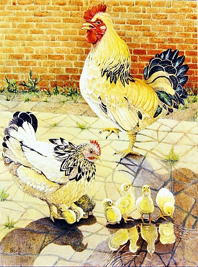 Free Ranging von Pat  Scott