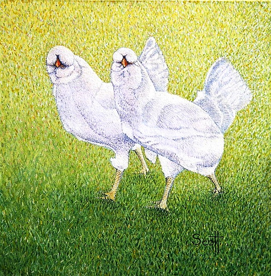 Going Shopping von Pat  Scott