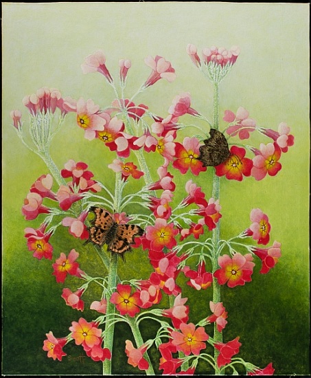 In the Pink von Pat  Scott