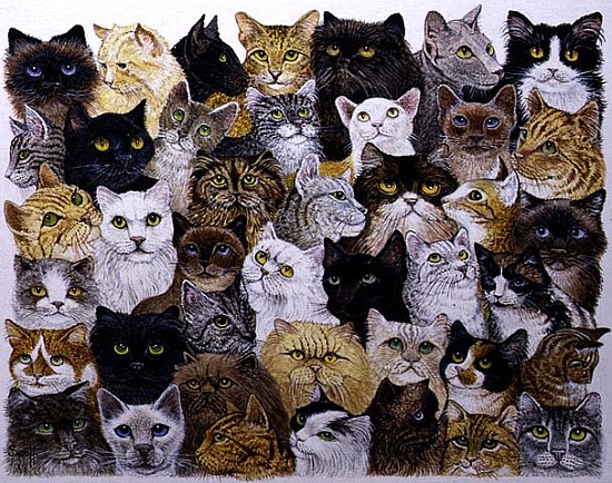 Just the Cat''s Whisker (acrylic on calico)  von Pat  Scott