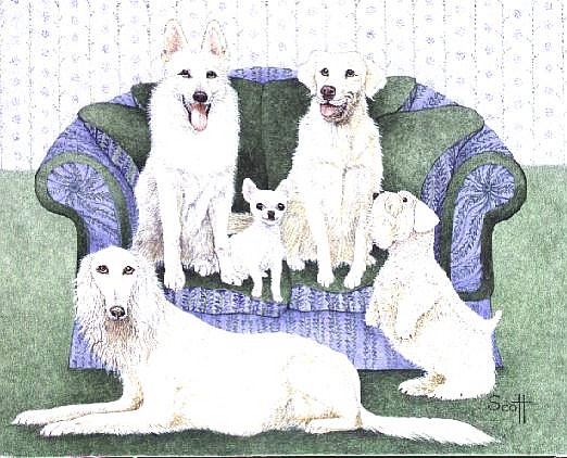 Milk and honey  von Pat  Scott