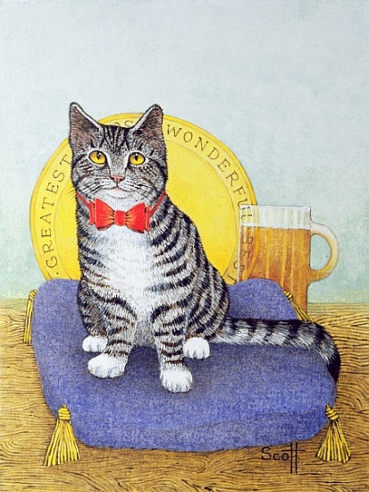 Mr Wonderful von Pat  Scott