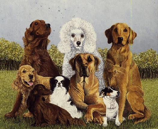Oliver''s Dogs (oil on canvas)  von Pat  Scott