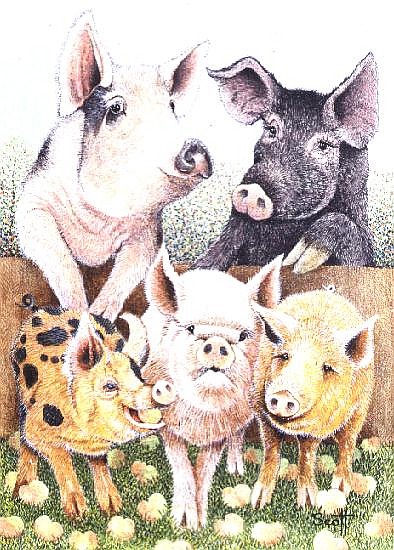 Over the garden fence  von Pat  Scott