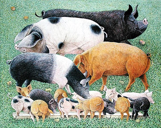 Pigtails (acrylic on canvas)  von Pat  Scott