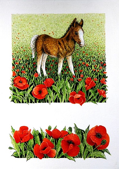 Poppies von Pat  Scott