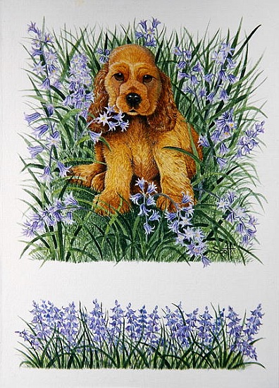 Resting von Pat  Scott