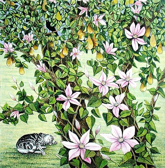 Snoozing (acrylic on canvas)  von Pat  Scott