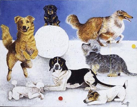 Snow Balls  von Pat  Scott