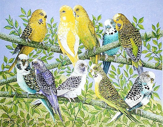 Sweet Talking (acrylic on canvas)  von Pat  Scott