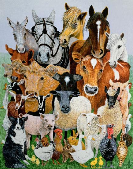 Animal Allsorts (oil on canvas) 