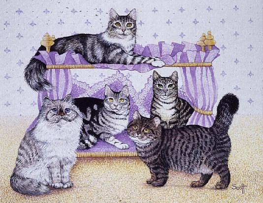 Top cat tabbies  von Pat  Scott