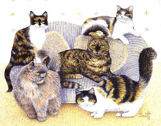 Tortoiseshell ladies  von Pat  Scott