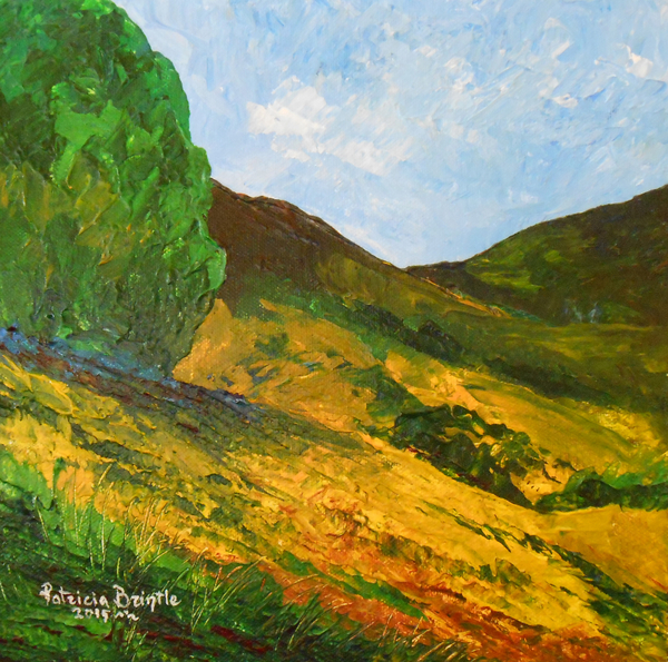 Morne La Selle von Patricia  Brintle