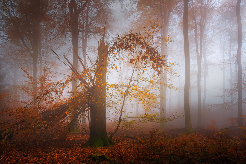 untitledl von Patrick Aurednik