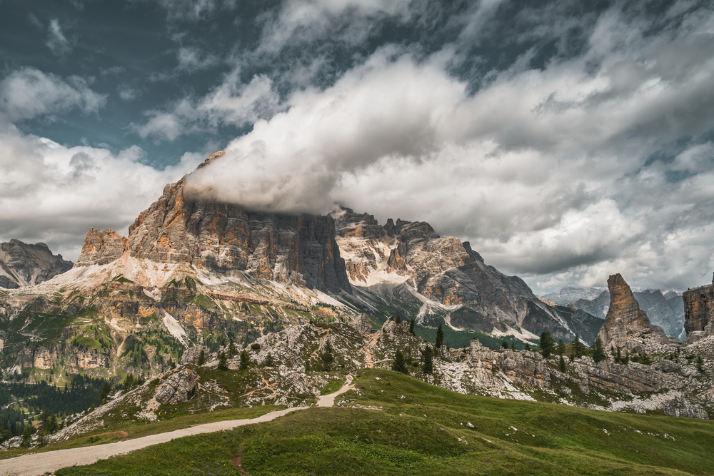 Tofana di Rozes von Patrick Aurednik