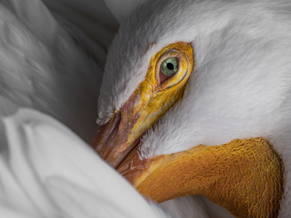 Self cleaning von Patrick Dessureault