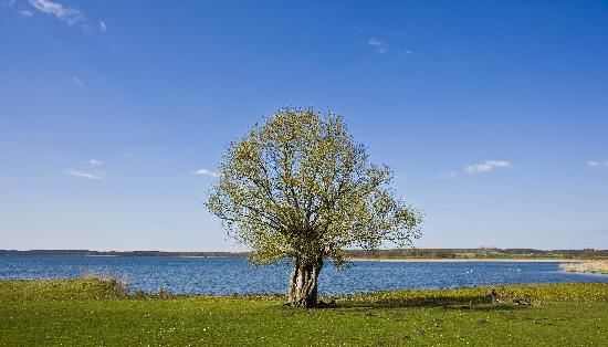 Frühling in der Uckermark von Patrick Pleul