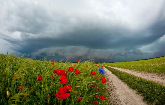 Gewitterfront über Brandenburg von Patrick Pleul