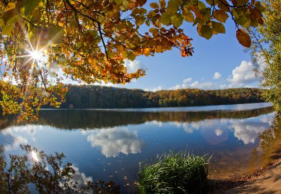 Herbst im Schlaubetal von Patrick Pleul
